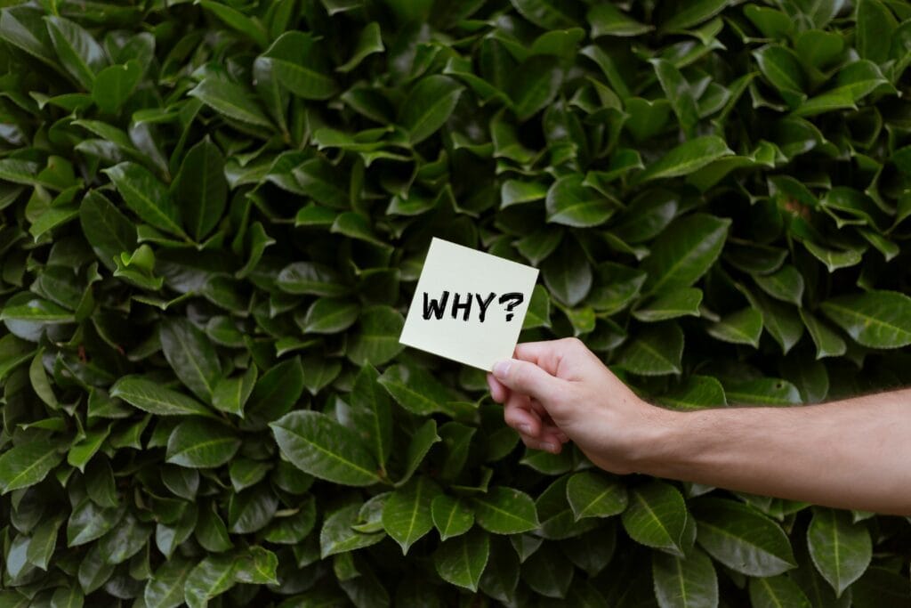 pexels-photo-13092792-13092792 A person holds a paper with 'Why?' against a lush green bush, questioning or seeking ideas. Like how to set financial goals